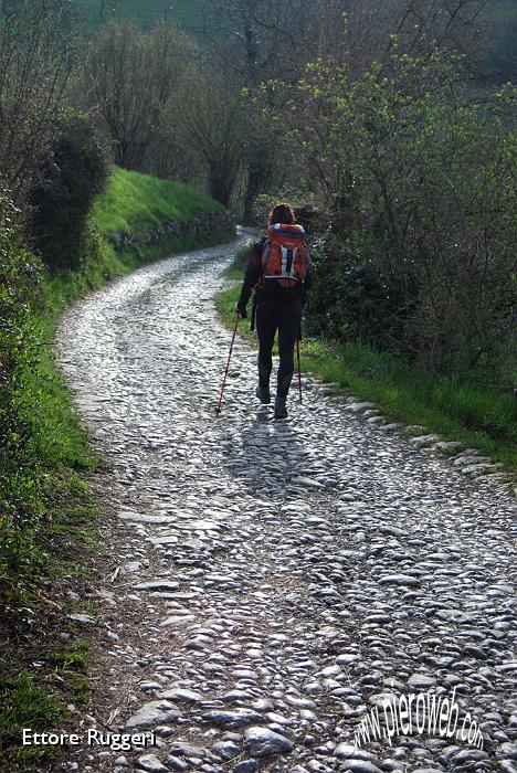 4 - in cammino verso il Bosco degli Gnomi ....JPG